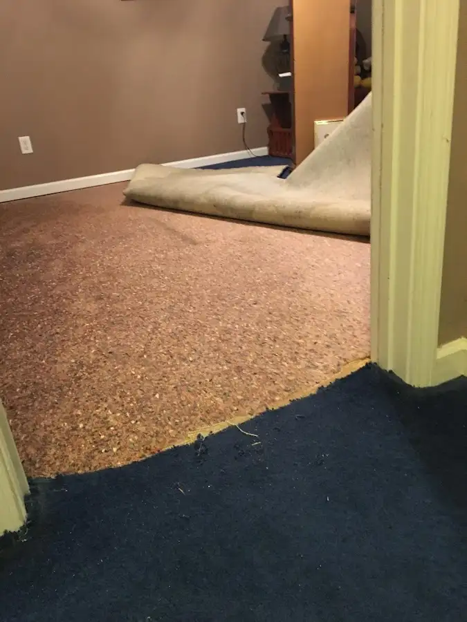 Carpet pad removal revealing water damage during Drying & Dehumidification in Wentzville