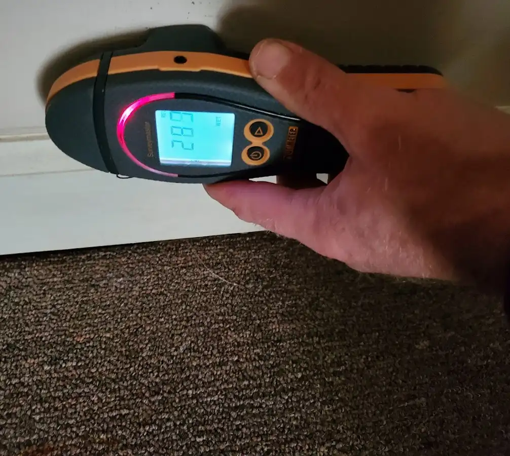 Moisture detection at baseboard during Sewage Cleanup & Sanitation in Wentzville